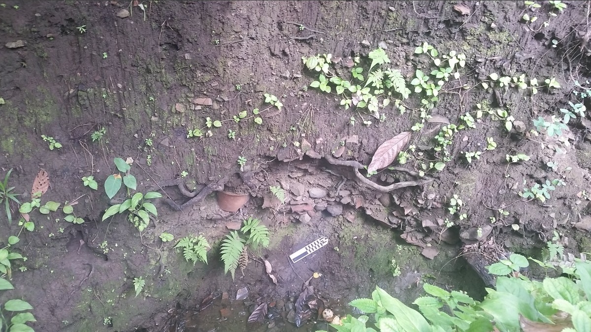 Archaeology of Grenada